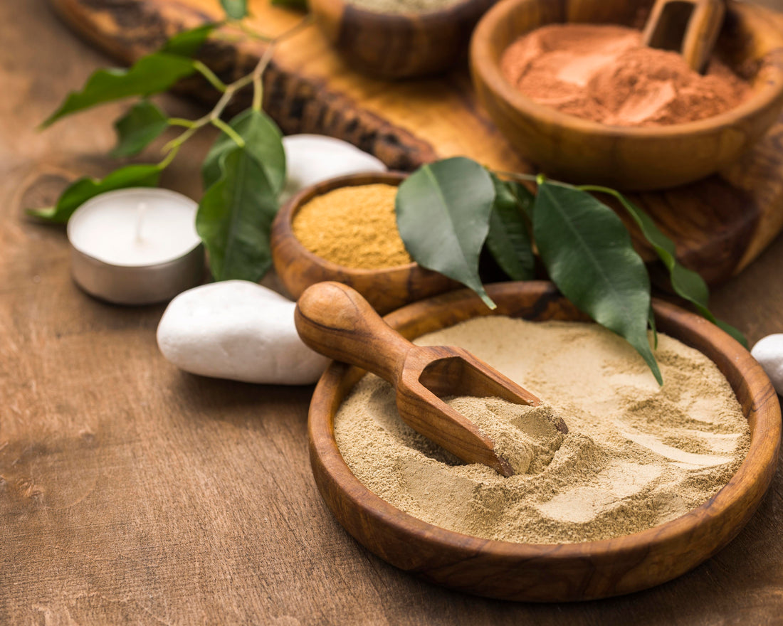 Spices That Heal: The Ayurvedic Wisdom Behind Spice-A-Bowl’s Blends